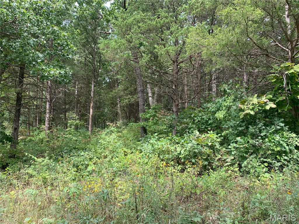 Photo 6 - Land for sale – 000  Cedar Grove Lane  Rolla, MO