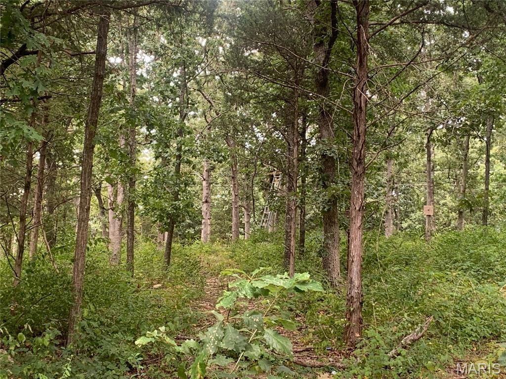 Land for sale – 000  Cedar Grove Lane  Rolla, MO