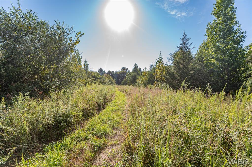 Land for sale – 14585  State Route B   St James, MO