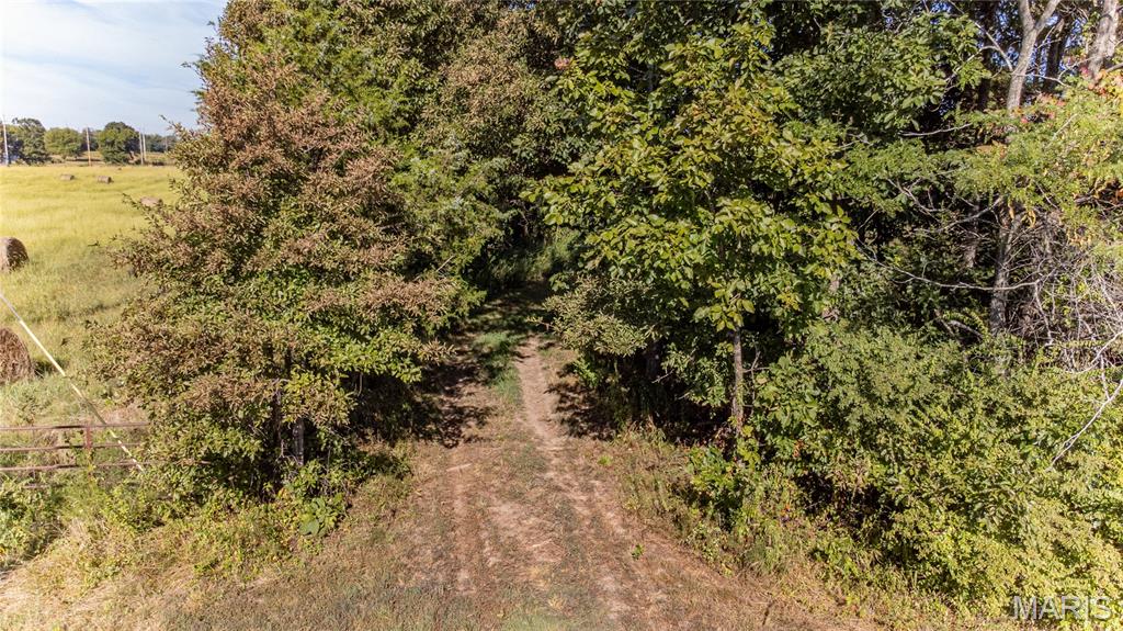 Photo 4 - Land for sale – 14585  State Route B   St James, MO
