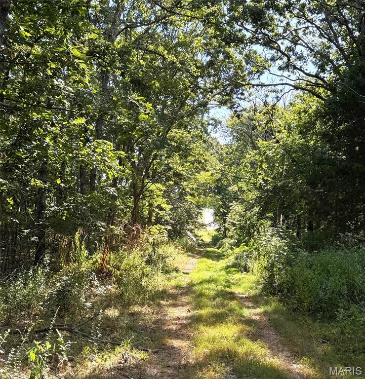 Photo 9 - Land for sale – 14585  State Route B   St James, MO