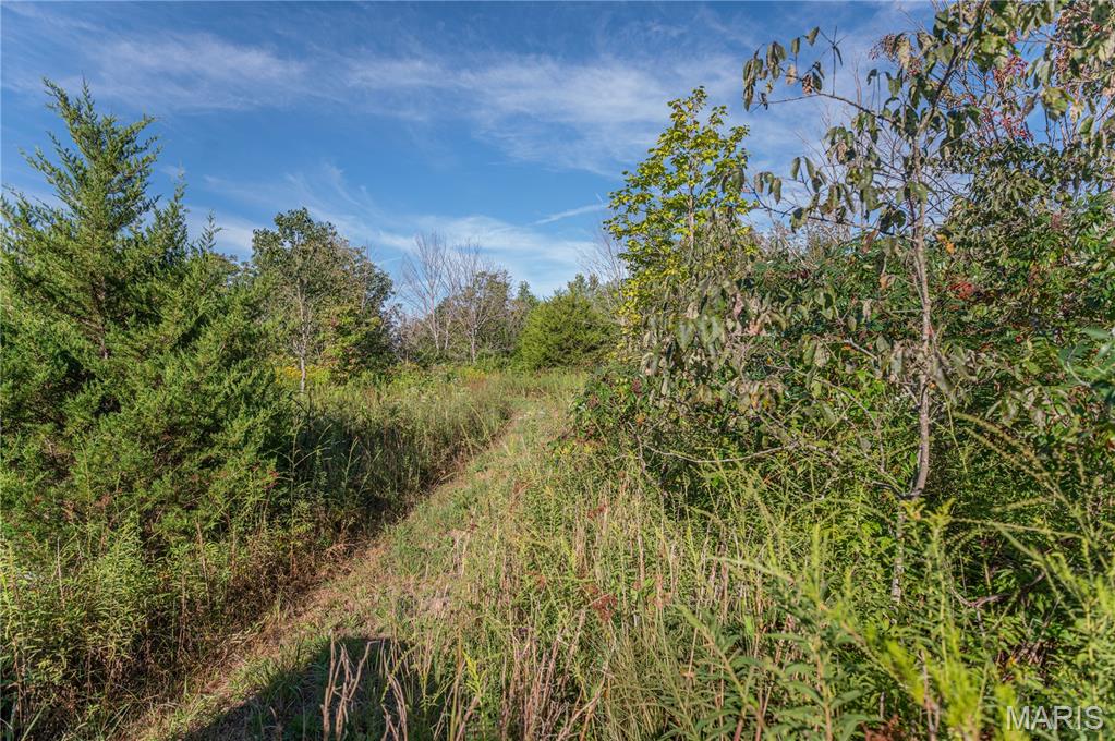 Photo 5 - Land for sale – 14585  State Route B   St James, MO