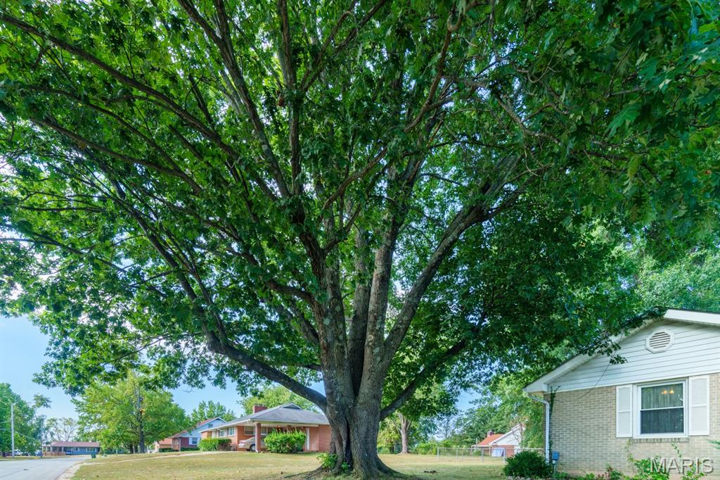 Photo 35 - Residential for sale – 46  McFarland Drive  Rolla, MO
