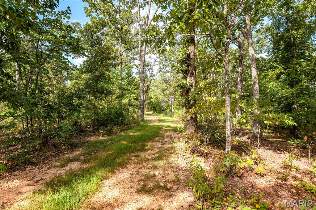 Photo 4 - Residential for sale – 10900  County Road 3600   St James, MO