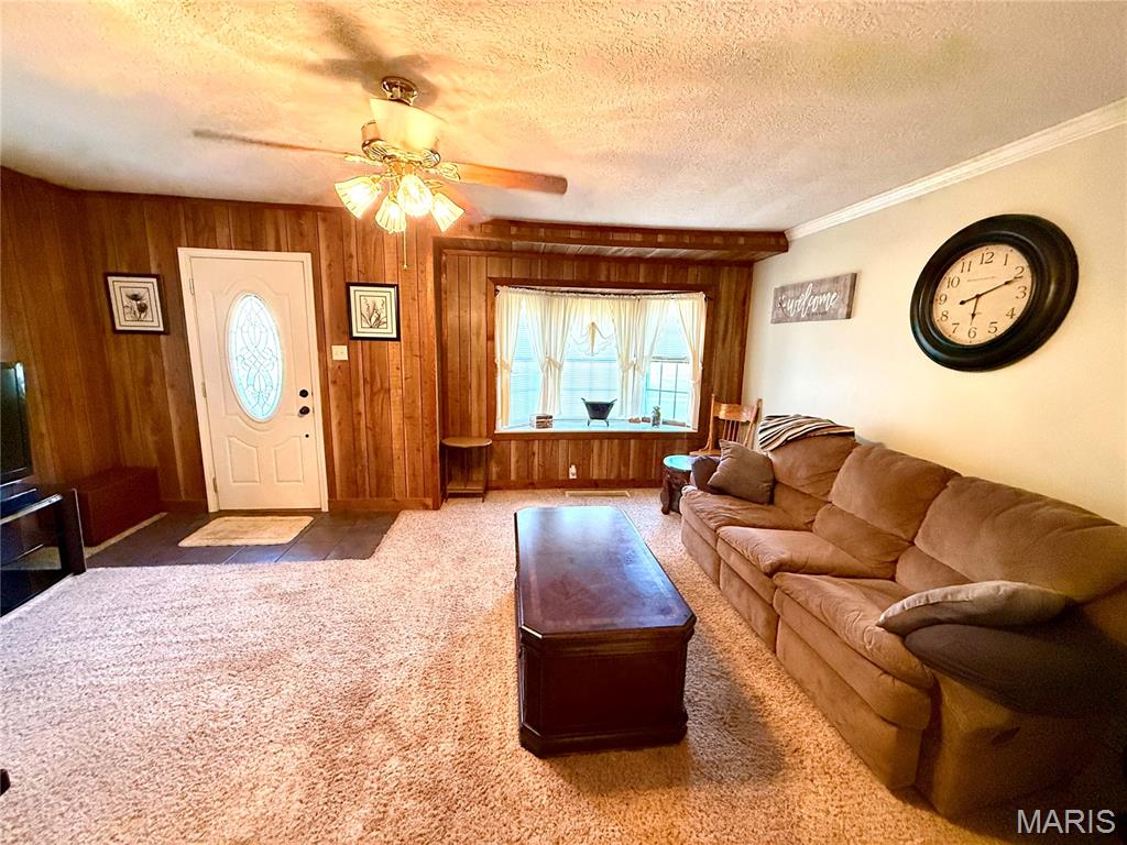 Photo 11 - Residential for sale – 201 S Warfel Street  Salem, MO