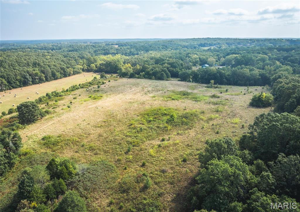 Photo 16 - Land for sale – 000  Highway FF   Edgar Springs, MO