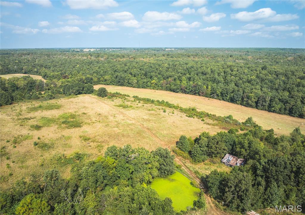 Photo 2 - Land for sale – 000  Highway FF   Edgar Springs, MO