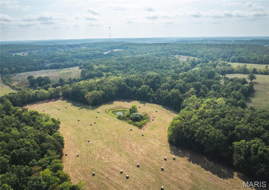 Photo 14 - Land for sale – 000  Highway FF   Edgar Springs, MO