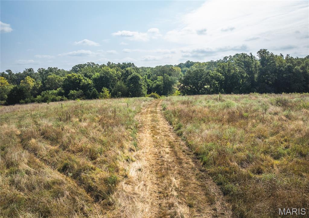 Photo 7 - Land for sale – 000  Highway FF   Edgar Springs, MO