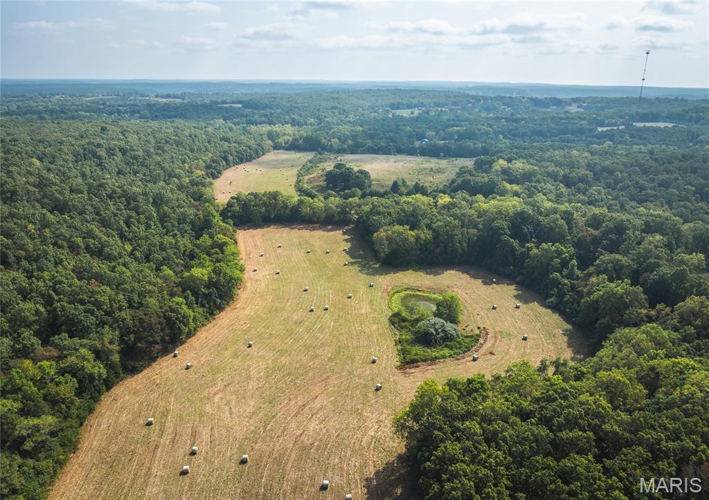 Land for sale – 000  Highway FF   Edgar Springs, MO