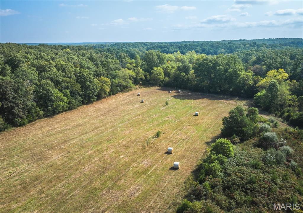 Photo 17 - Land for sale – 000  Highway FF   Edgar Springs, MO