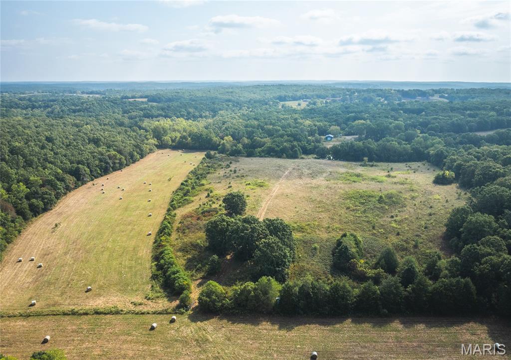 Photo 15 - Land for sale – 000  Highway FF   Edgar Springs, MO