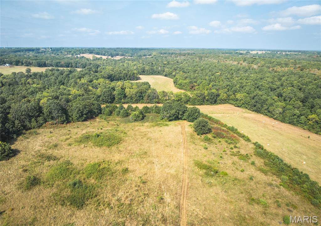 Photo 8 - Land for sale – 000  Highway FF   Edgar Springs, MO