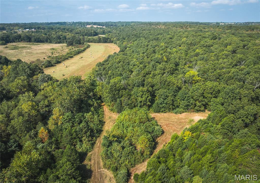 Photo 25 - Land for sale – 000  Highway FF   Edgar Springs, MO