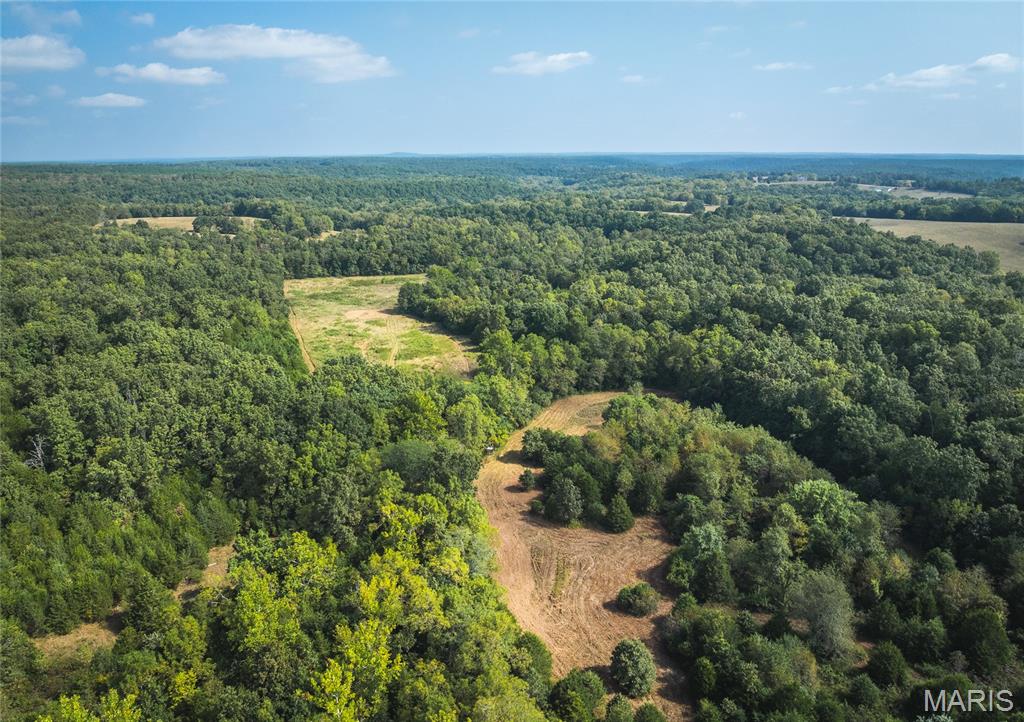 Photo 19 - Land for sale – 000  Highway FF   Edgar Springs, MO
