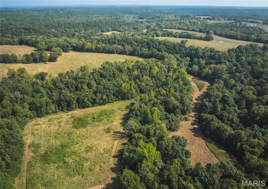 Photo 22 - Land for sale – 000  Highway FF   Edgar Springs, MO