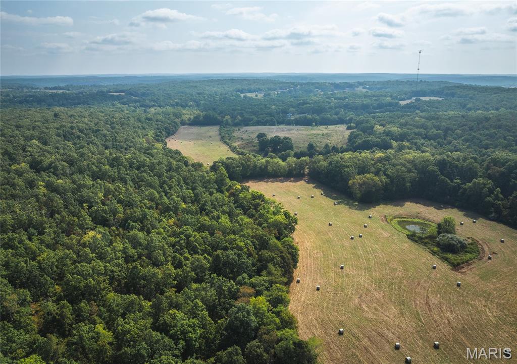 Photo 13 - Land for sale – 000  Highway FF   Edgar Springs, MO