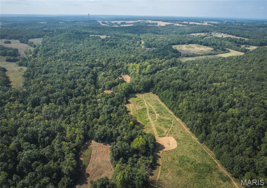 Photo 23 - Land for sale – 000  Highway FF   Edgar Springs, MO