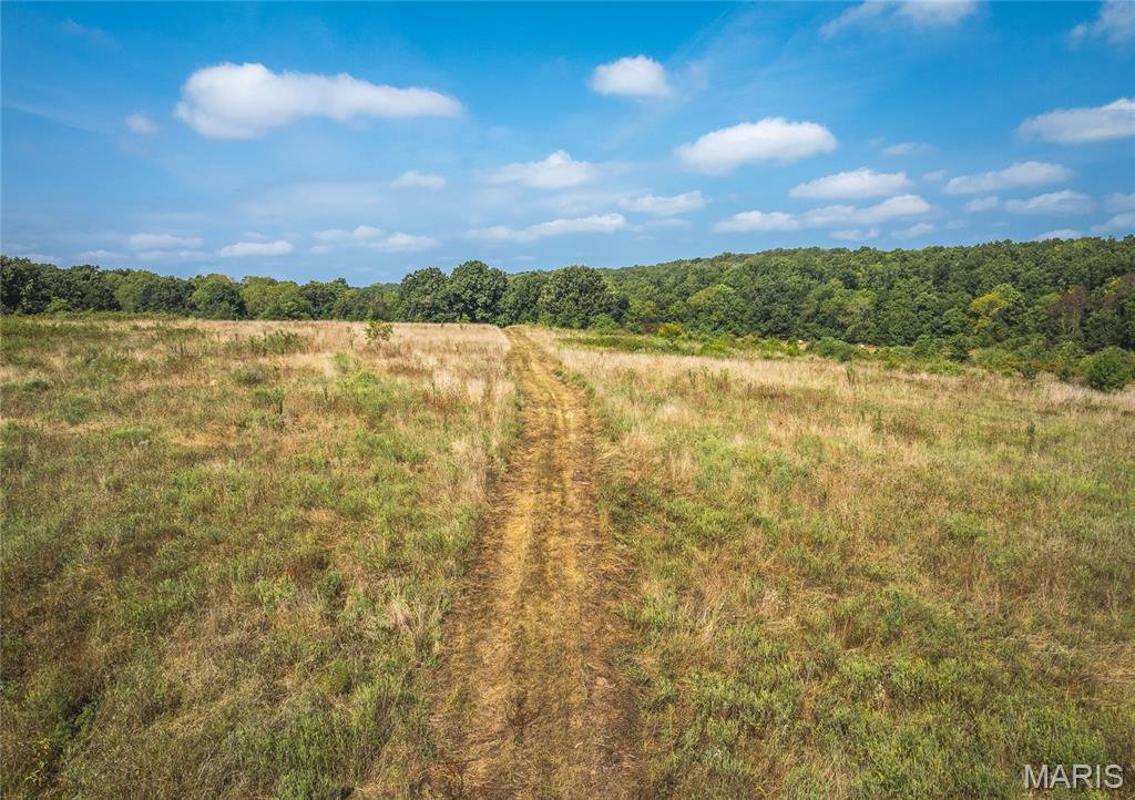 Photo 5 - Land for sale – 000  Highway FF   Edgar Springs, MO