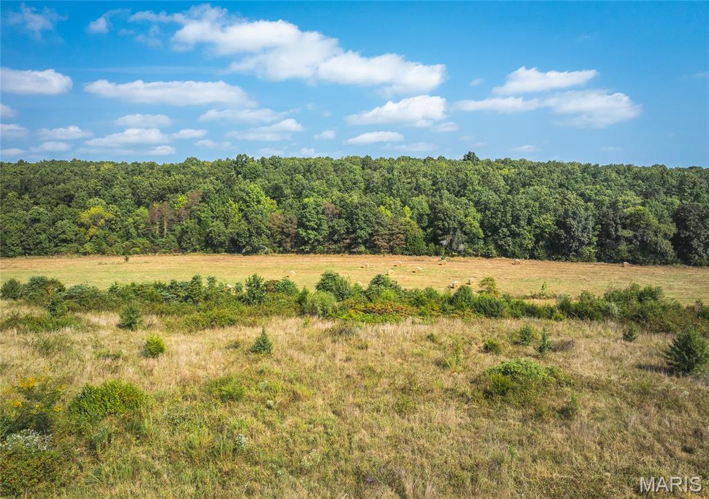Photo 6 - Land for sale – 000  Highway FF   Edgar Springs, MO