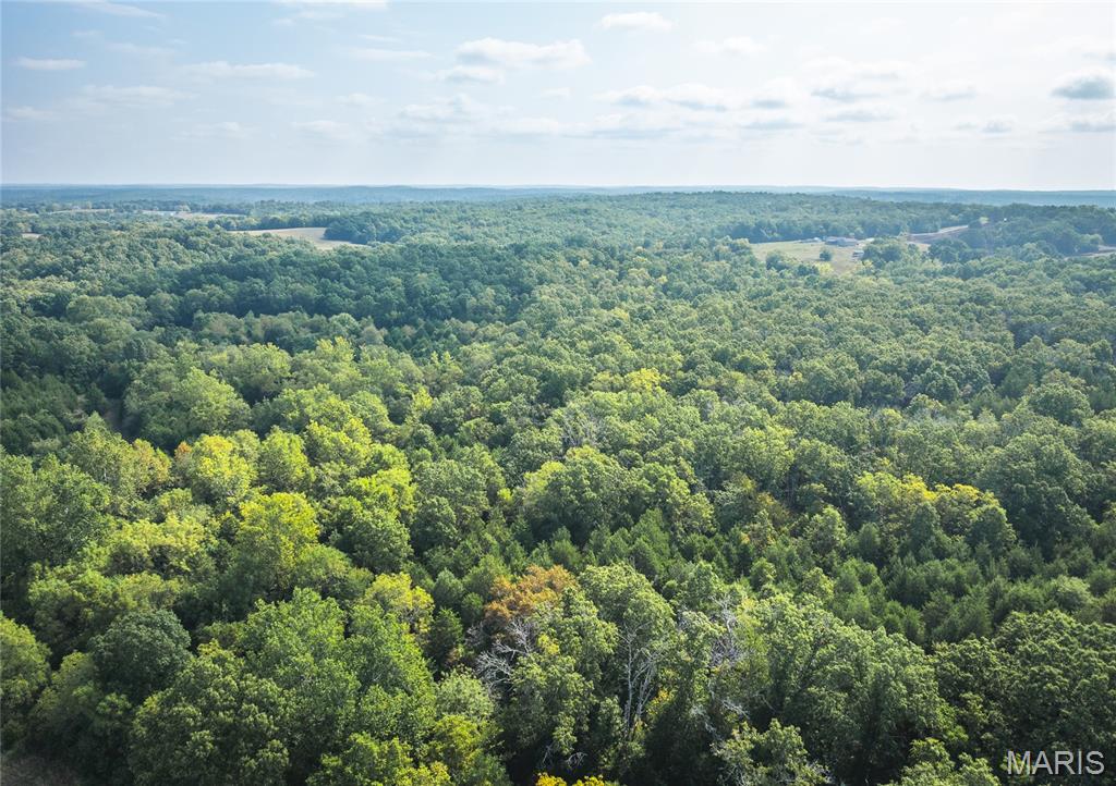 Photo 10 - Land for sale – 000  Highway FF   Edgar Springs, MO