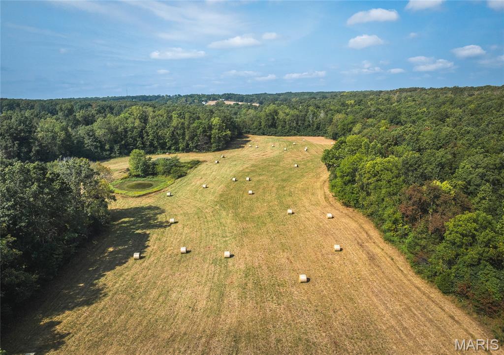 Photo 11 - Land for sale – 000  Highway FF   Edgar Springs, MO