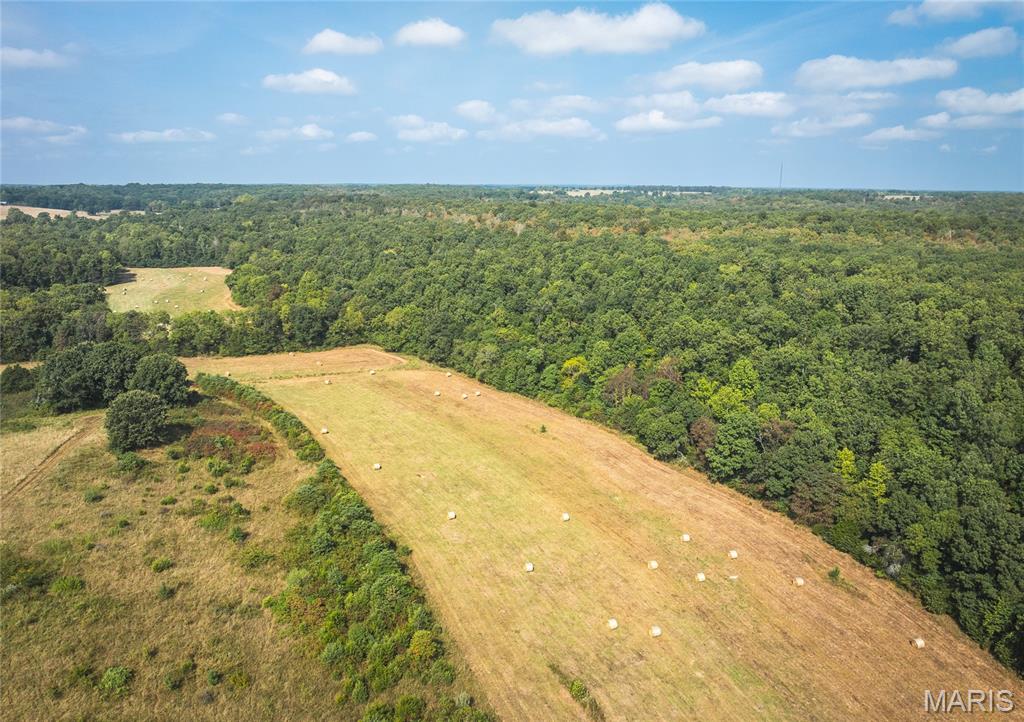 Photo 9 - Land for sale – 000  Highway FF   Edgar Springs, MO