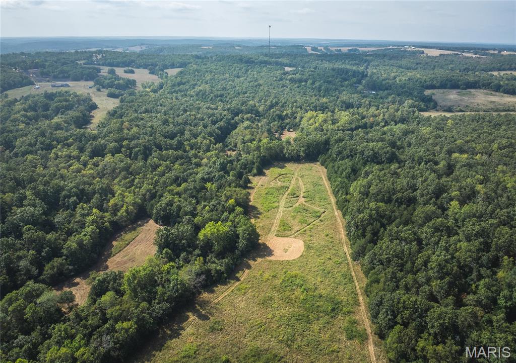 Photo 24 - Land for sale – 000  Highway FF   Edgar Springs, MO