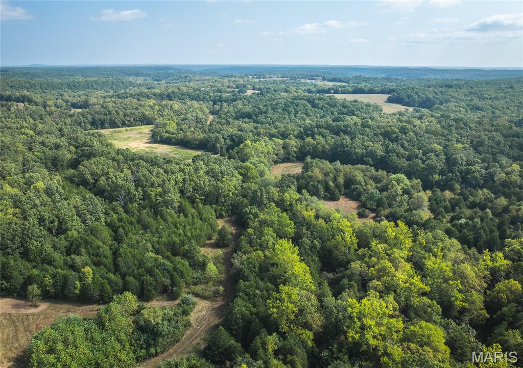 Photo 18 - Land for sale – 000  Highway FF   Edgar Springs, MO