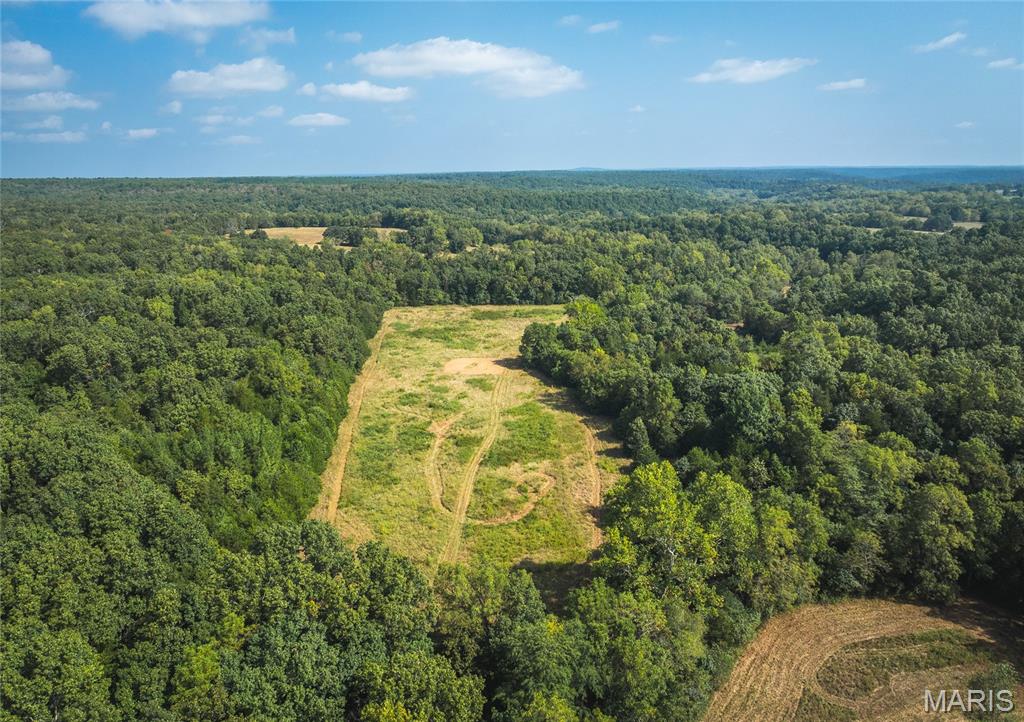 Photo 20 - Land for sale – 000  Highway FF   Edgar Springs, MO