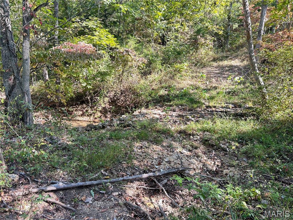Photo 33 - Land for sale – 4800  County Road 4210   Salem, MO