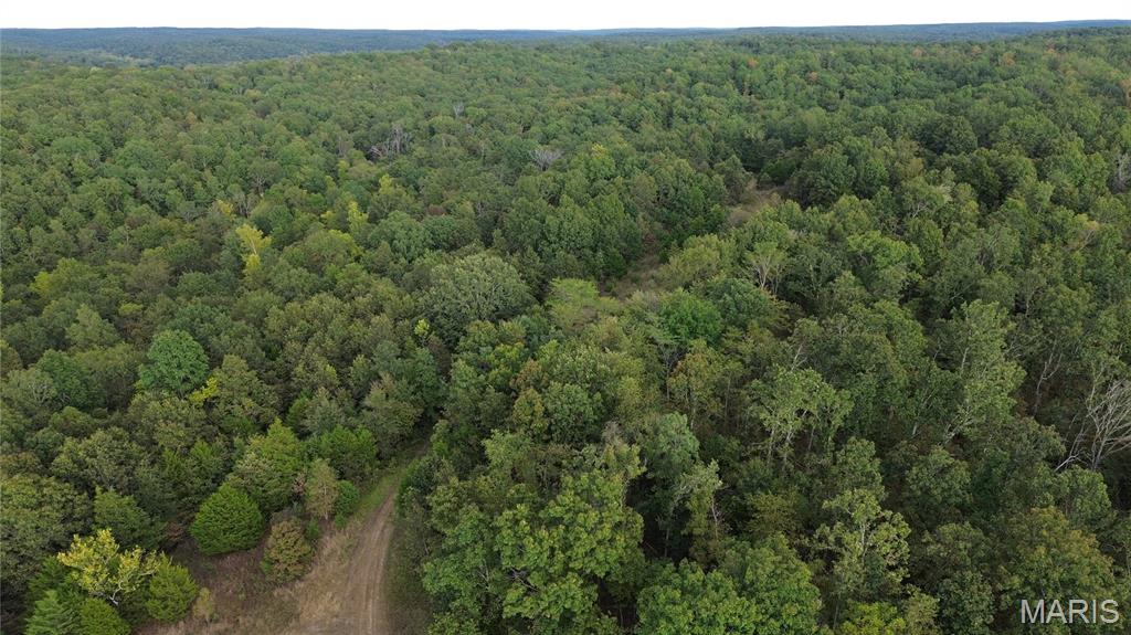 Photo 14 - Land for sale – 4800  County Road 4210   Salem, MO