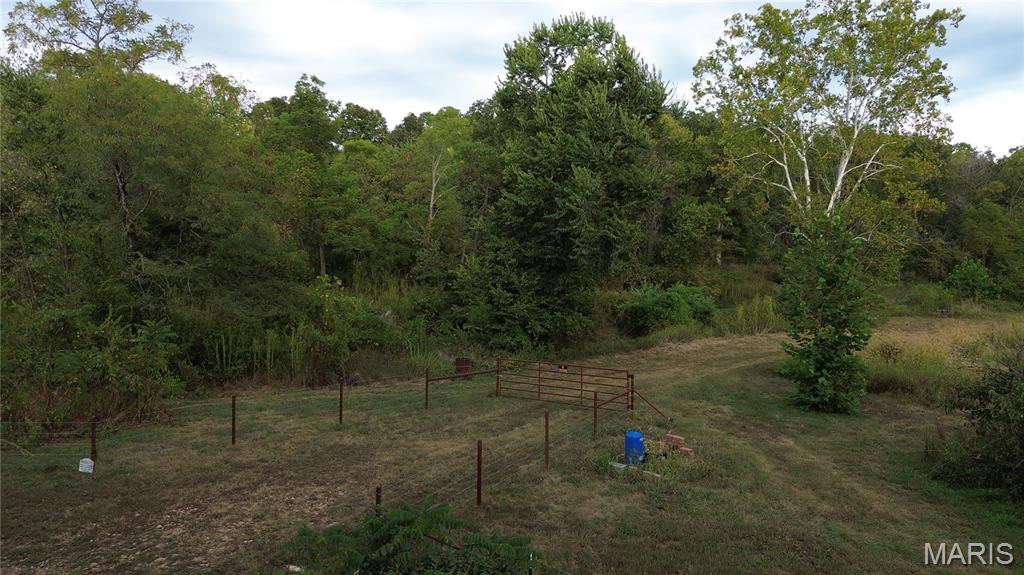 Photo 5 - Land for sale – 4800  County Road 4210   Salem, MO