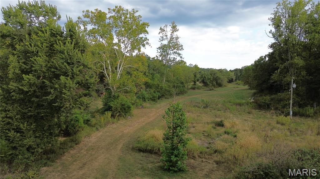 Photo 6 - Land for sale – 4800  County Road 4210   Salem, MO