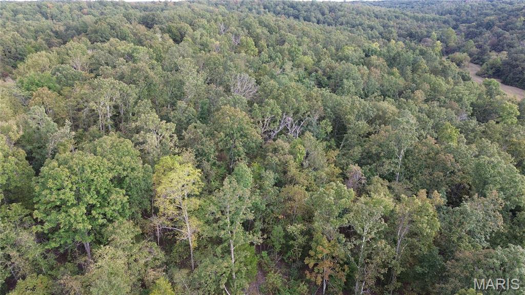 Photo 13 - Land for sale – 4800  County Road 4210   Salem, MO