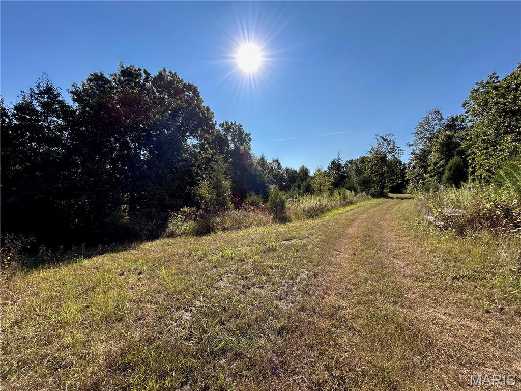 Photo 26 - Land for sale – 4800  County Road 4210   Salem, MO
