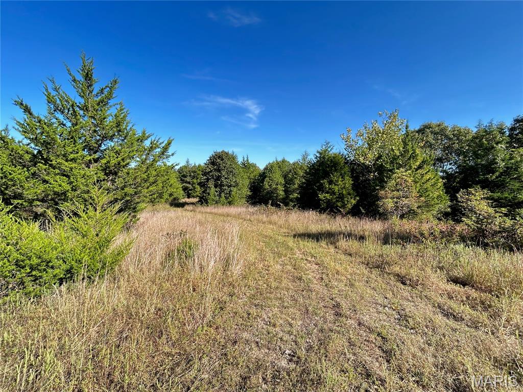 Photo 25 - Land for sale – 4800  County Road 4210   Salem, MO