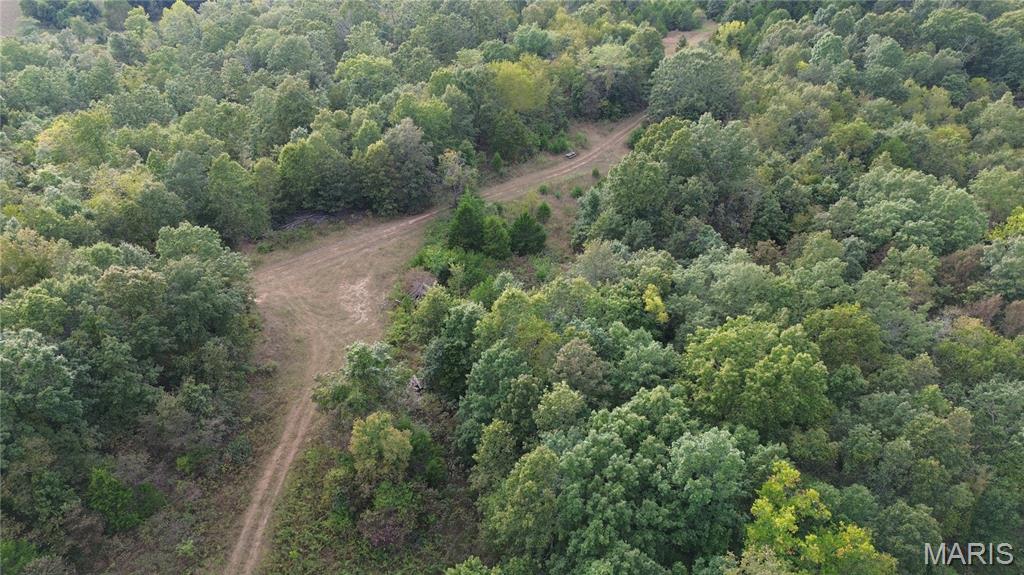 Photo 17 - Land for sale – 4800  County Road 4210   Salem, MO