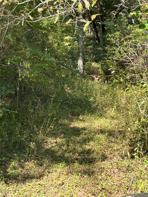 Photo 41 - Land for sale – 4800  County Road 4210   Salem, MO