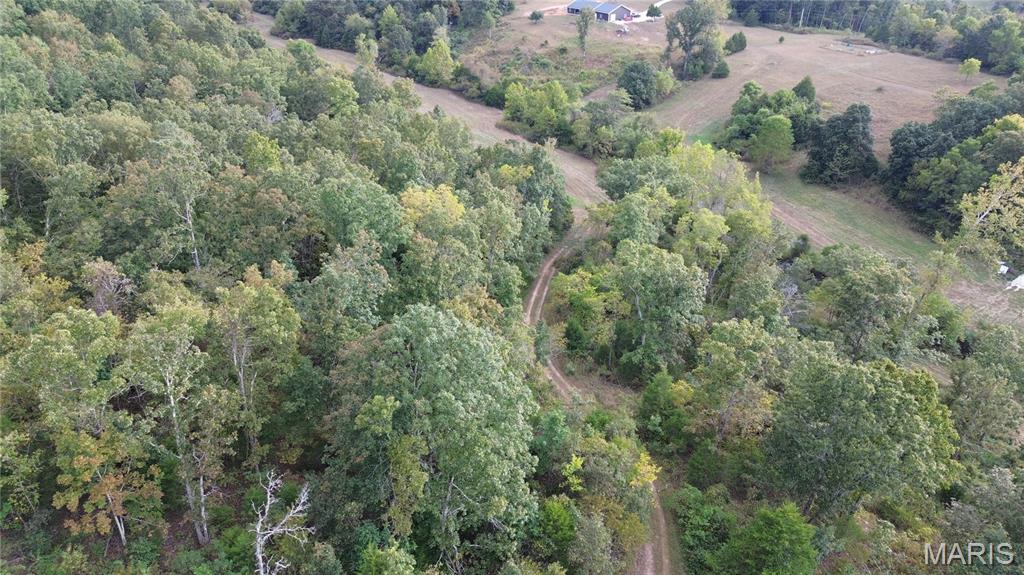 Photo 12 - Land for sale – 4800  County Road 4210   Salem, MO
