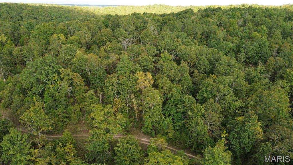 Photo 18 - Land for sale – 4800  County Road 4210   Salem, MO