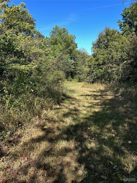 Photo 40 - Land for sale – 4800  County Road 4210   Salem, MO