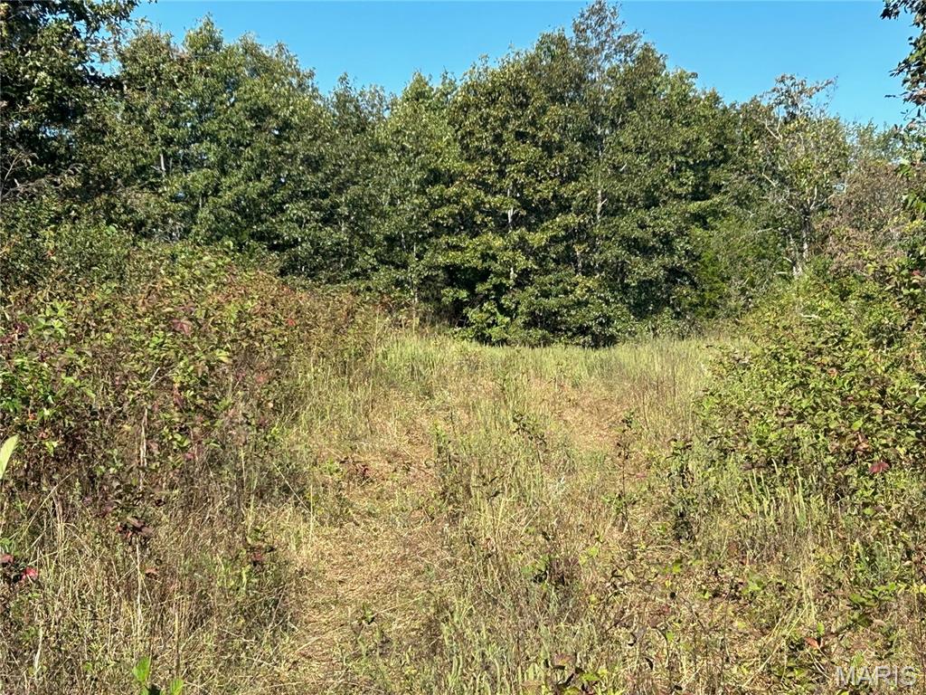 Photo 28 - Land for sale – 4800  County Road 4210   Salem, MO