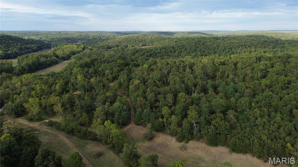 Photo 53 - Land for sale – 4800  County Road 4210   Salem, MO