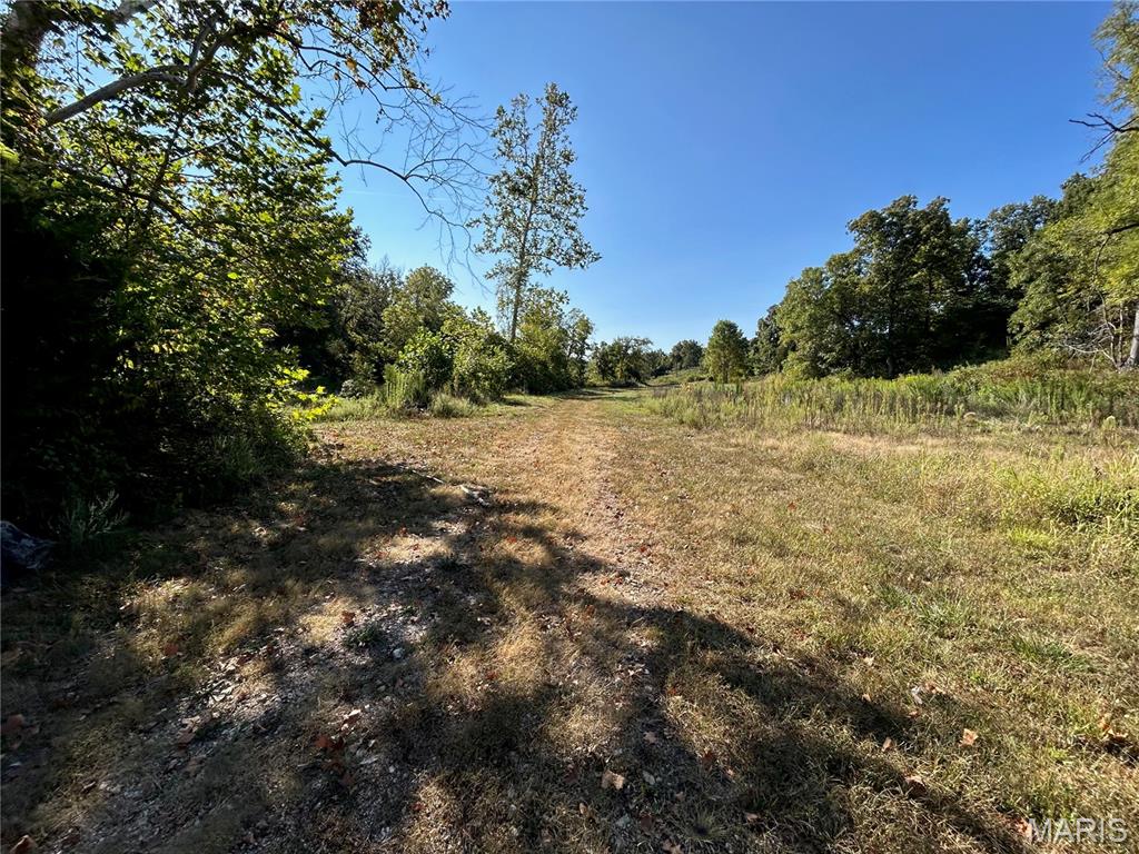 Photo 22 - Land for sale – 4800  County Road 4210   Salem, MO