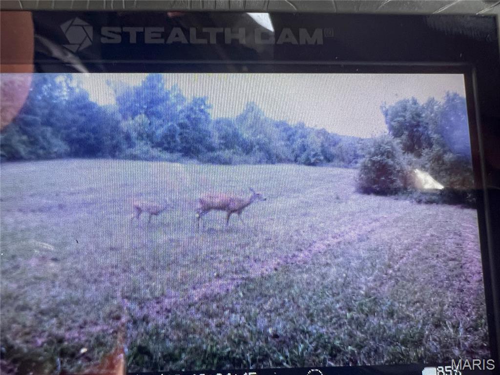 Photo 57 - Land for sale – 4800  County Road 4210   Salem, MO