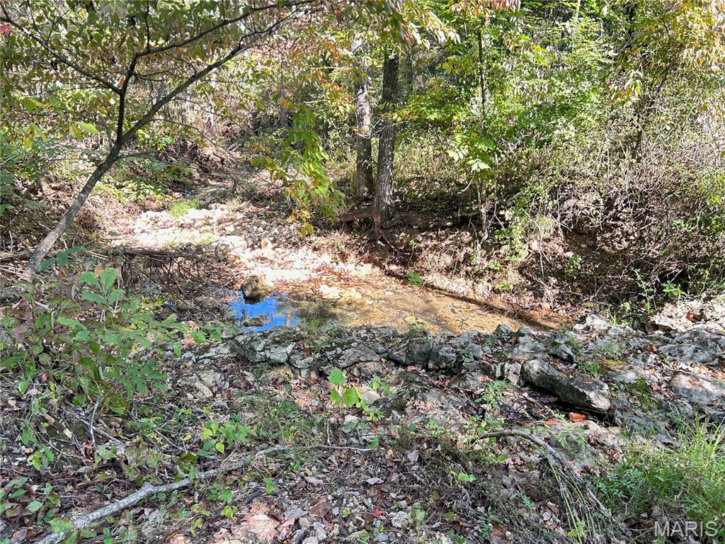 Photo 34 - Land for sale – 4800  County Road 4210   Salem, MO