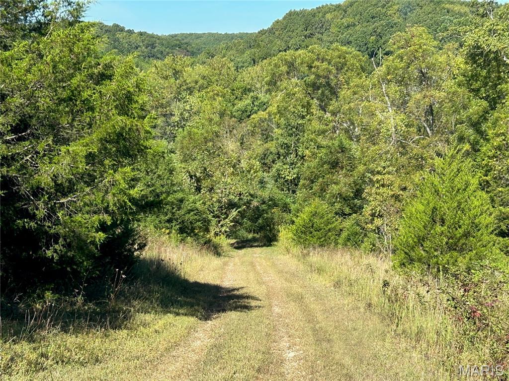 Photo 42 - Land for sale – 4800  County Road 4210   Salem, MO