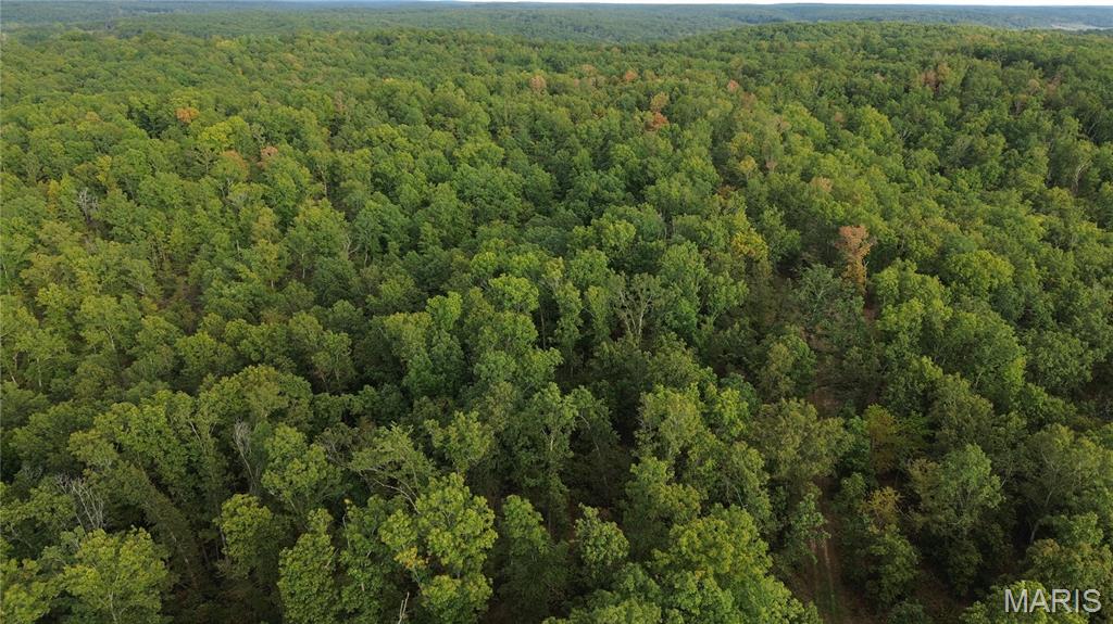 Photo 46 - Land for sale – 4800  County Road 4210   Salem, MO