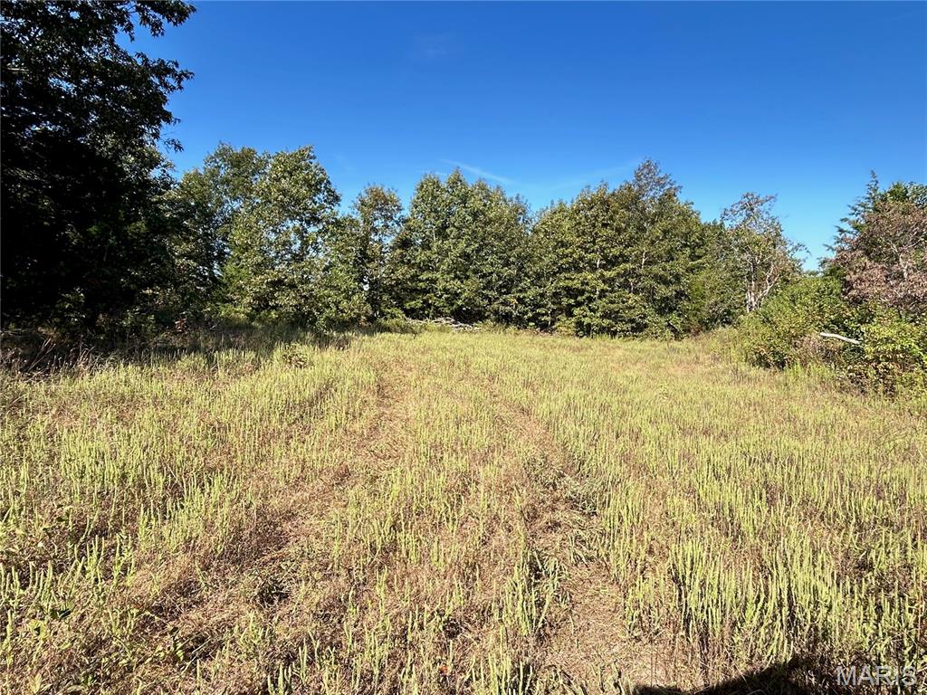 Photo 44 - Land for sale – 4800  County Road 4210   Salem, MO